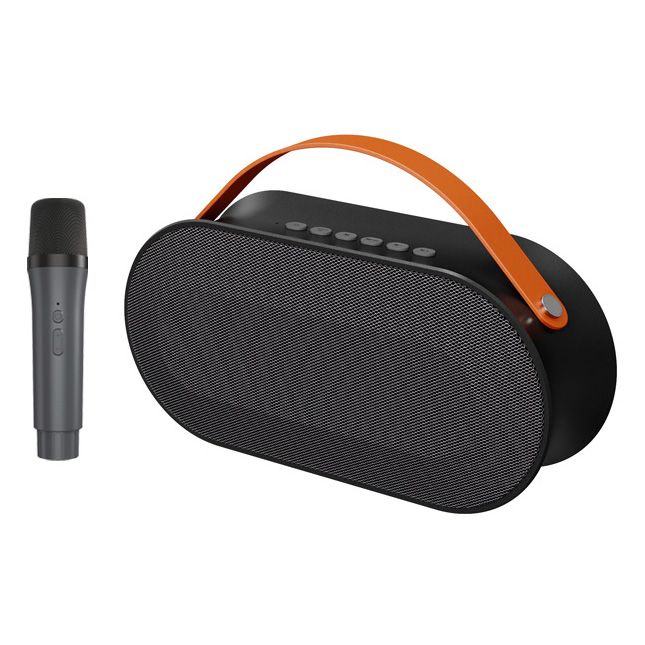 Loa Bluetooth Kèm Mic Karaoke Không Dây 30W P10