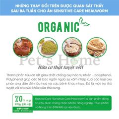 Hạt Natural Core SENSITIVE CARE MEALWORM Thức ăn cho chó nhạy cảm, dị ứng Hàn Quốc