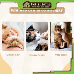 Sợi cá chai nướng Cattyman 20g