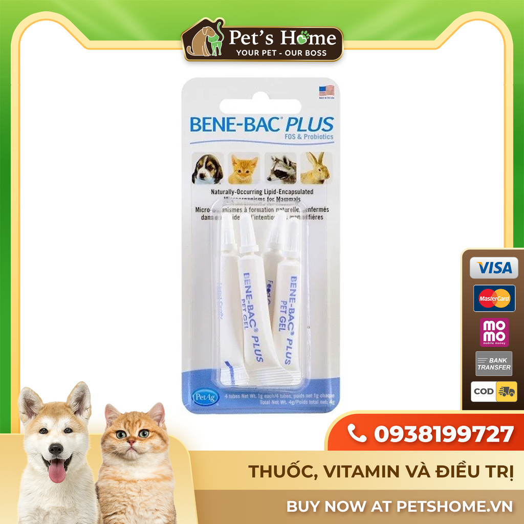 Gel hỗ trợ tiêu hóa Bene Bac Gel vỉ 4 tuýp 1g