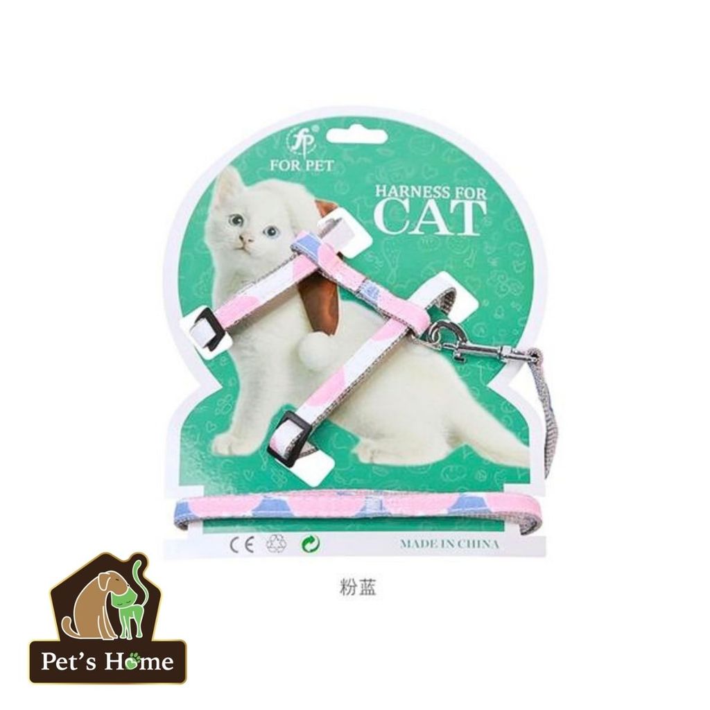 Set đeo ngưc cho mèo Harness for Cat