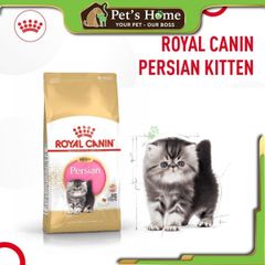 Hạt Royal Canin Persian cho mèo Ba Tư trên 12 tháng tuổi