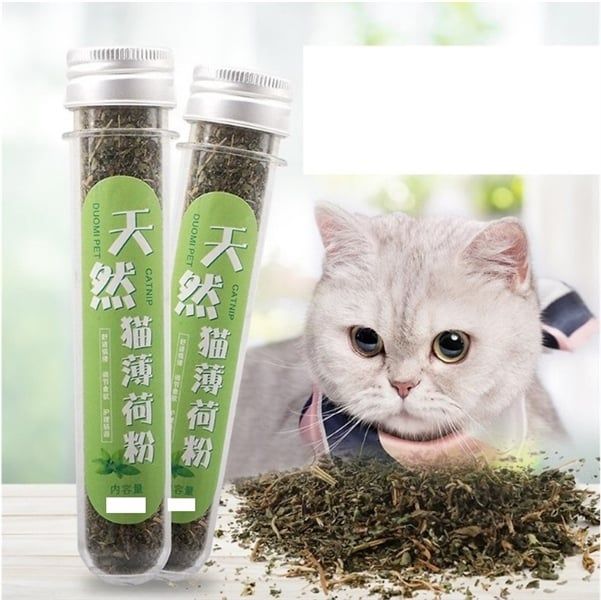 Ống catnip cho mèo 40ml