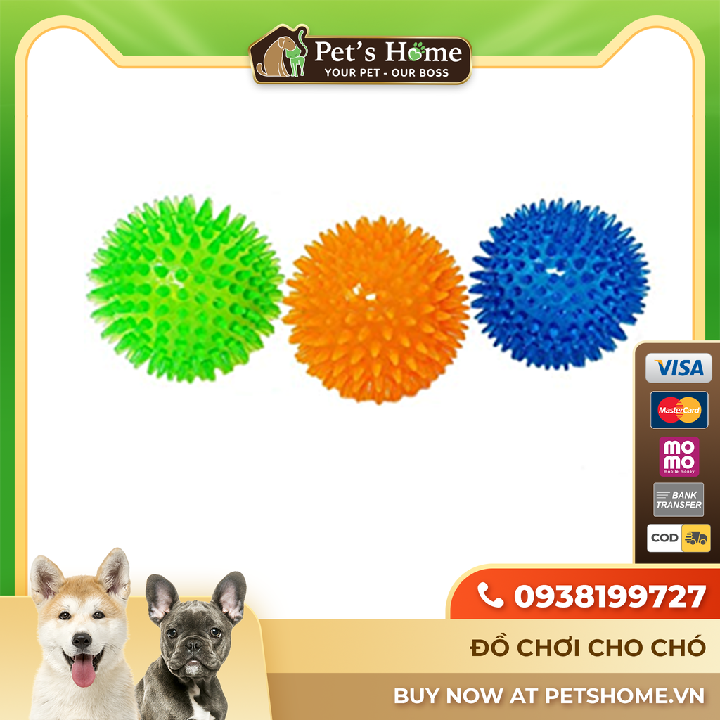 Pawise Play Dog - Đồ chơi bóng nẩy Spiky Ball