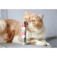 Ống catnip Bioline cho mèo 45ml