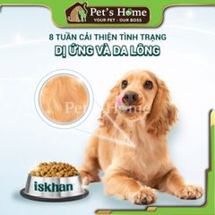 Hạt Iskhan Allergy Free cho chó ngăn ngừa viêm da, dị ứng 2,5kg