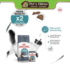 Hạt Royal Canin Hairball trị búi lông cho mèo