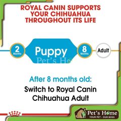 Hạt Royal Canin Chihuahua 1kg5, 500g cho giống chó Chihuahua Pháp