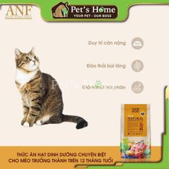 Hạt ANF [2kg] thức ăn cho mèo con, mèo trưởng thành 6 Free Hàn Quốc