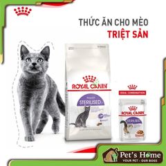 Hạt Royal Canin Sterilised cho mèo triệt sản