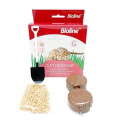 Bộ trồng cỏ mèo Bioline Cat Grass Kit 12g