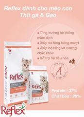 Hạt Reflex Chicken Kitten 15Kg