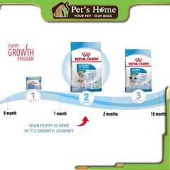 Hạt Royal Canin Mini [8 - 15kg] thức ăn cho chó con, chó lớn giống chó nhỏ Puppy, Adult Pháp