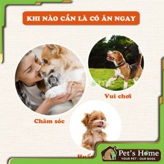 Sợi gà sấy dẻo Doggyman 80g