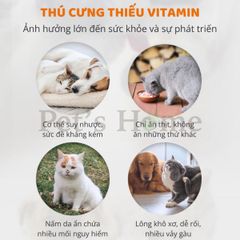 Beaphar Supplement - Vitamin tổng hợp cho mèo 180 viên