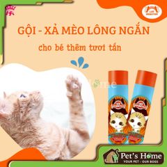 Dầu gội và xả mèo Lee Webster 280G