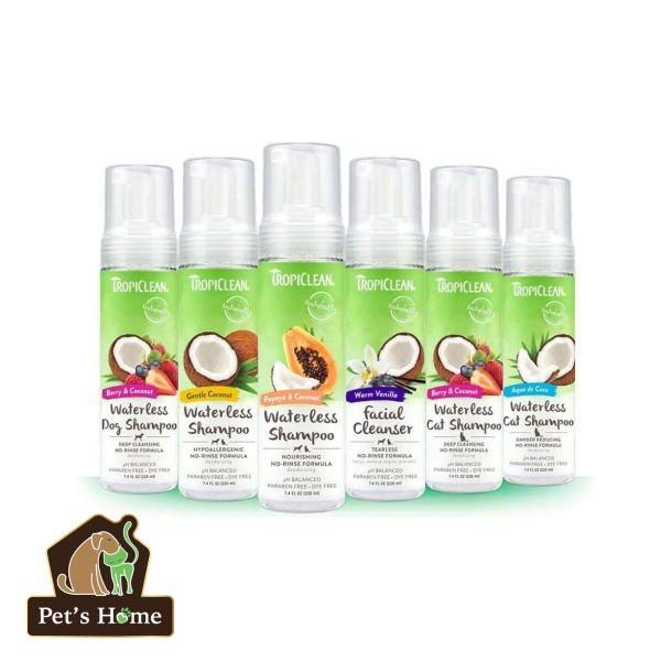 Dầu tắm khô cho chó mèo Tropiclean Waterless Shampoo 220ml – Pet's