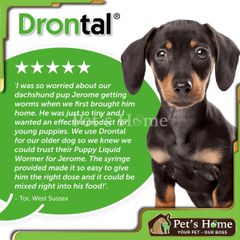 Drontal Puppies - Thuốc nước xổ giun cho chó con