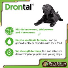 Drontal Puppies - Thuốc nước xổ giun cho chó con