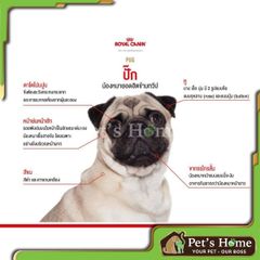 Hạt Royal Canin Pug [1,5kg - 500g] thức ăn hạt cho giống chó Pug Pháp