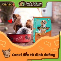 Hạt Ganador [3kg] thức ăn cho chó CON, chó LỚN Pháp