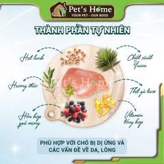 Hạt Iskhan Allergy Free 2,5kg thức ăn cho chó ngăn ngừa viêm da, dị ứng Hàn Quốc