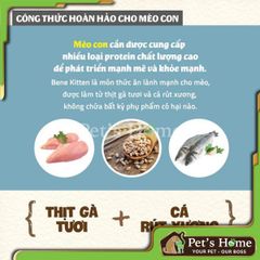 Hạt Natural Core C1 Bene Kitten thức ăn cho mèo con Hàn Quốc 400Gr, 2Kg