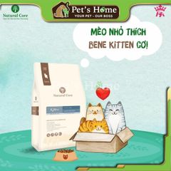 Hạt Natural Core C1 Bene Kitten thức ăn cho mèo con Hàn Quốc 400Gr, 2Kg