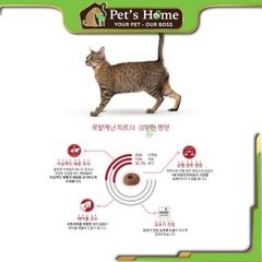 Hạt Royal Canin Fit32 [15kg - 10kg - 4kg] thức ăn cho mèo trưởng thành Pháp