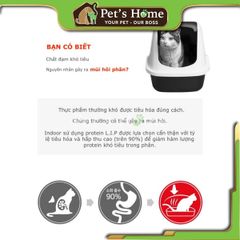 Hạt Royal Canin Indoor thức ăn cho mèo trưởng thành Pháp ( bao lớn )