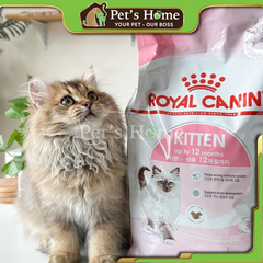 Hạt Royal Canin Kitten cho mèo con ( bao lớn )