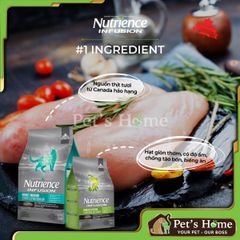 Nutrience Infusion Adult Indoor 2.27kg