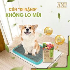 Hạt ANF [2kg] Thức ăn việc hữu cơ cho chó Hàn Quốc vị cừu, cá hồi, vịt