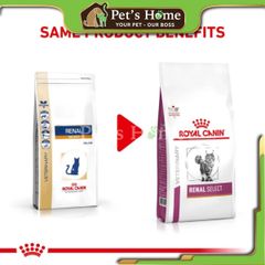 Hạt Royal Canin Renal Feline trị bệnh thận cho mèo