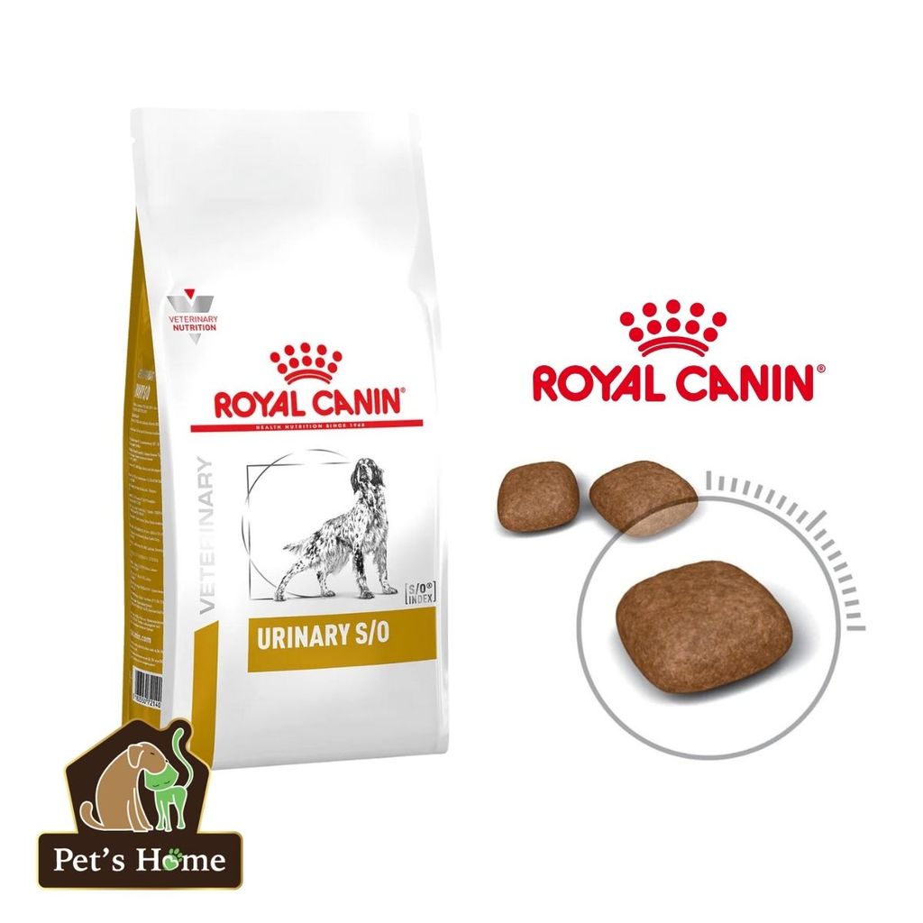 Hạt Royal Canin Urinary S/O trị bệnh sỏi thận cho chó