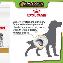 Hạt Royal Canin Urinary S/O trị bệnh sỏi thận cho chó