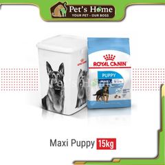 Hạt Royal Canin Maxi Adult cho giống chó cỡ lớn trên 15 tháng tuổi