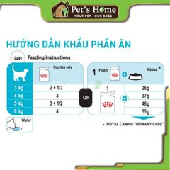 Hạt Royal Canin Skin & Coat hỗ trợ mèo bị viêm da và rụng lông 1,5kg