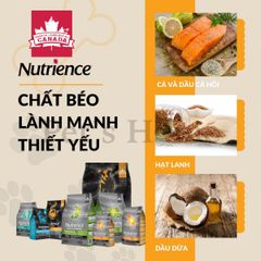 Hạt Nutrience Infusion [500g - 2,27kg] Thức ăn cho chó con, trưởng thành Canada