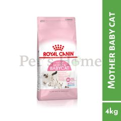 Hạt Royal Canin BabyCat cho mèo mẹ và mèo con