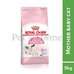 Hạt Royal Canin BabyCat cho mèo mẹ và mèo con