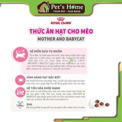 Hạt Royal Canin BabyCat cho mèo mẹ và mèo con