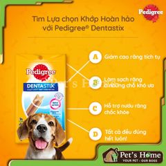 Xương gặm sạch răng Denta Stix cho chó