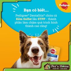 Xương gặm sạch răng Denta Stix cho chó