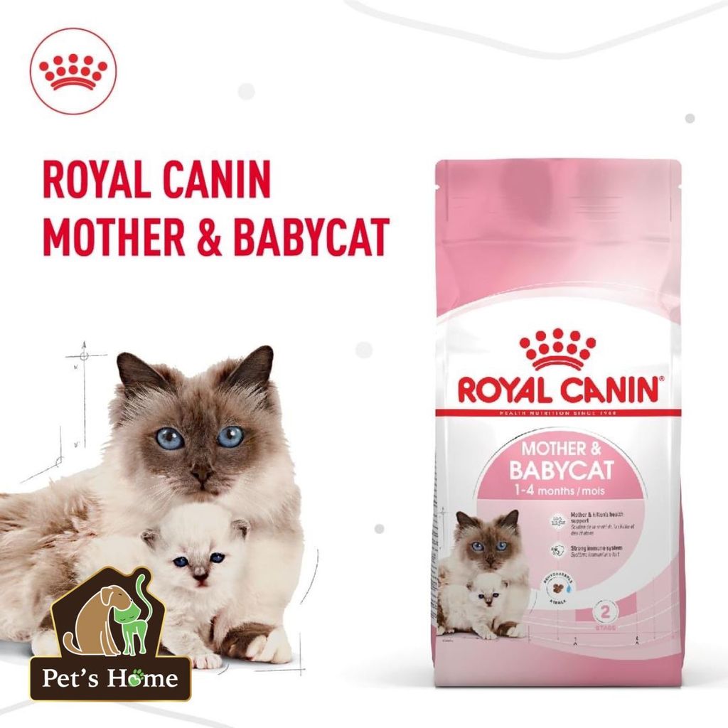 Hạt Royal Canin BabyCat cho mèo mẹ và mèo con