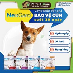 Viên nhai NexGard phòng và trị ve cho chó