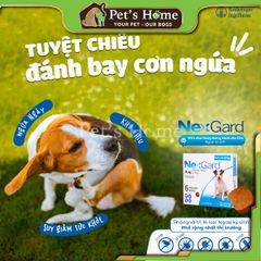 Viên nhai NexGard phòng và trị ve cho chó