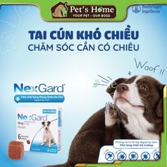 Viên nhai NexGard phòng và trị ve cho chó