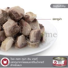 Pate Felina Canino thức ăn mềm giàu đạm và Omega 3, hỗ trợ tiêu hoá cho mèo Pháp lon 70g