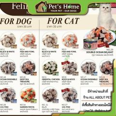 Pate Felina Canino thức ăn mềm giàu đạm và Omega 3, hỗ trợ tiêu hoá cho mèo Pháp lon 70g